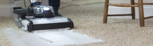 Carpet cleaning with Kirby carpet shampoo